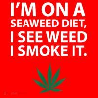 I'm On A Seaweed Diet I See Weed I Smoke It Pot Santa Hat thumb 1