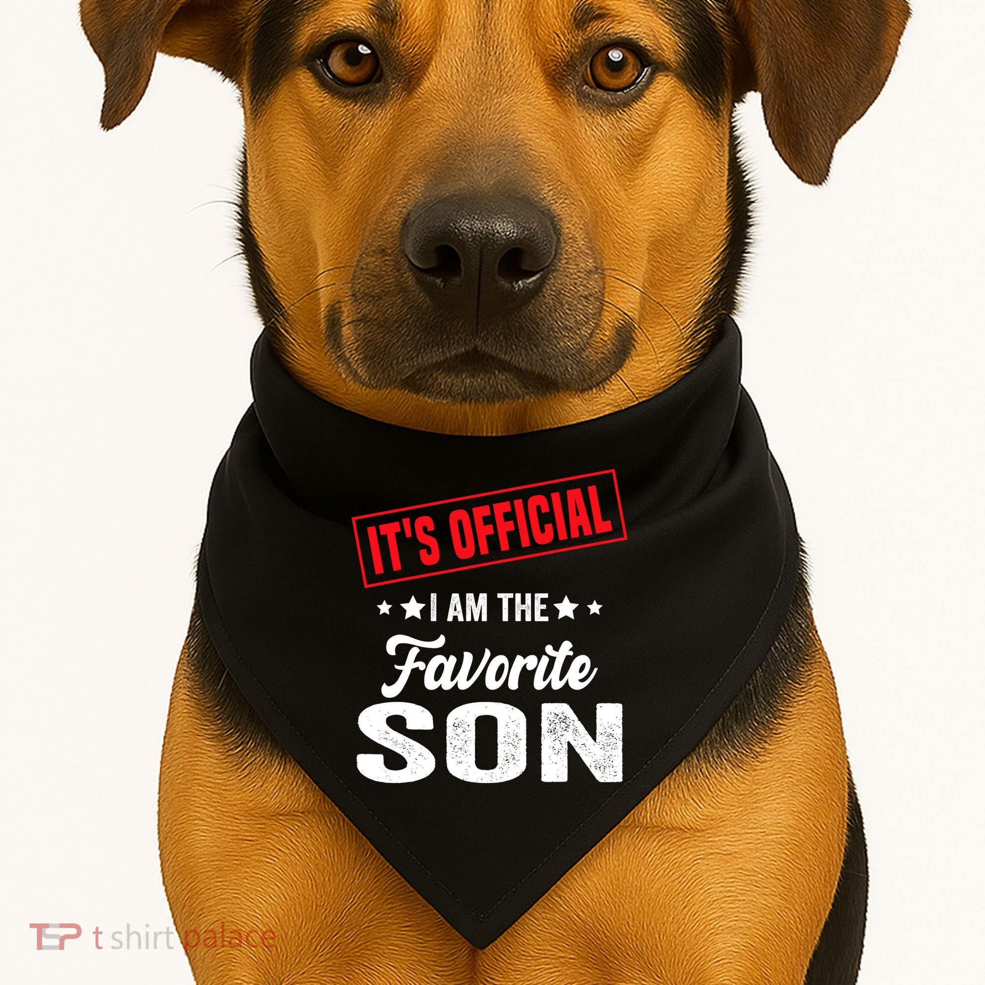 Its Official Im The Favorite Son USA-Made Doggie Bandana