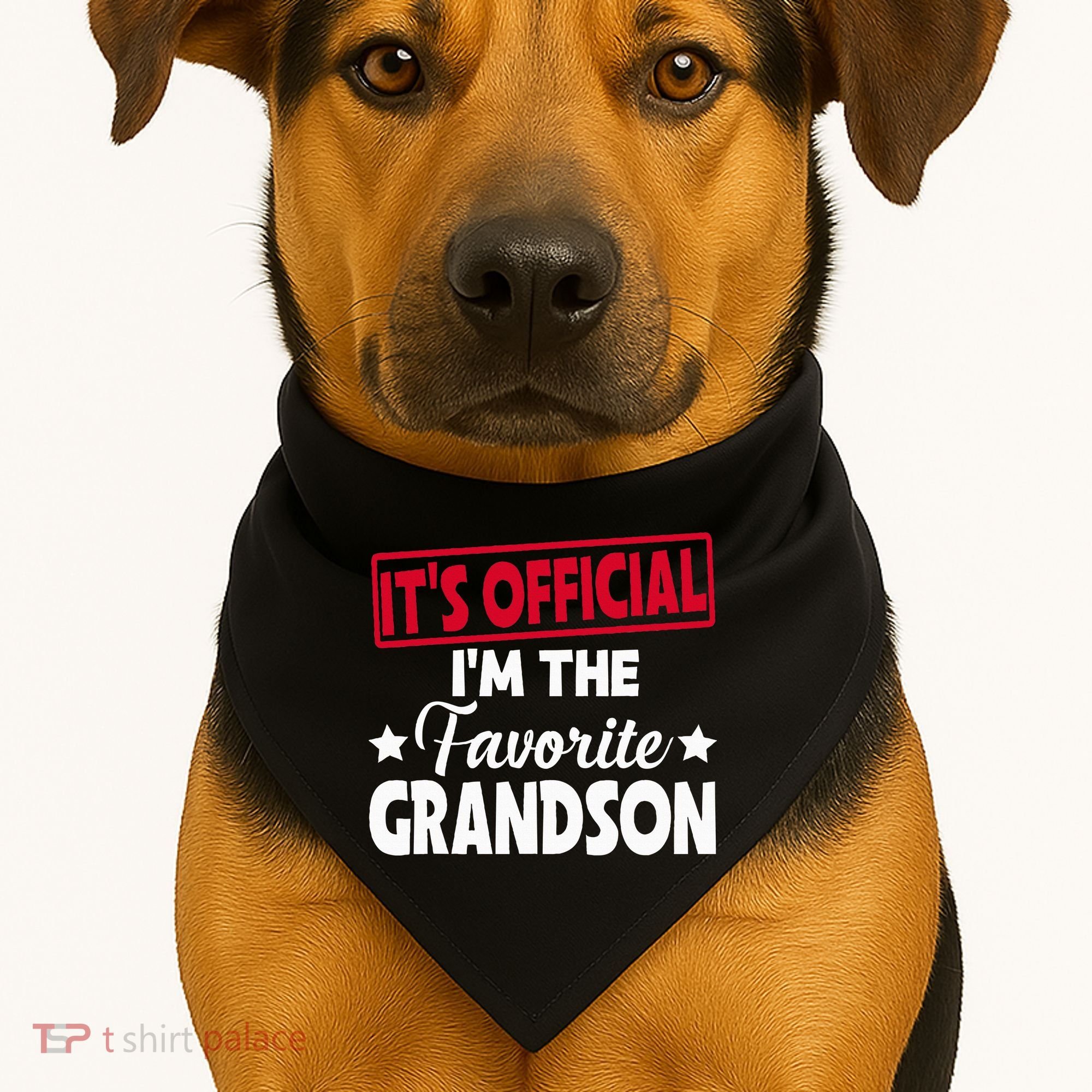 It's O.fficial I'm The Favorite Grandson Funny  USA-Made Doggie Bandana