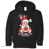 Im Only Jolly On December 25th Christmas Toddler Hoodie thumb 0