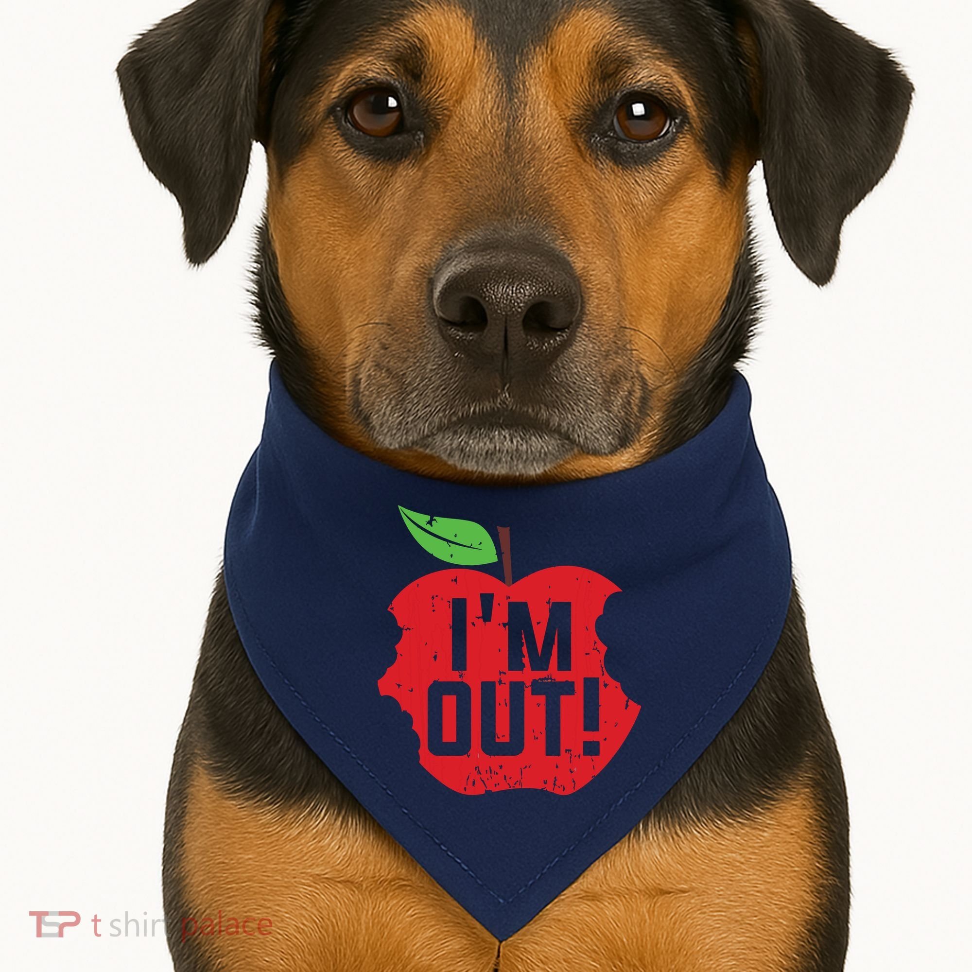 Im Out Last Day Of School Summer Break Teacher USA-Made Doggie Bandana