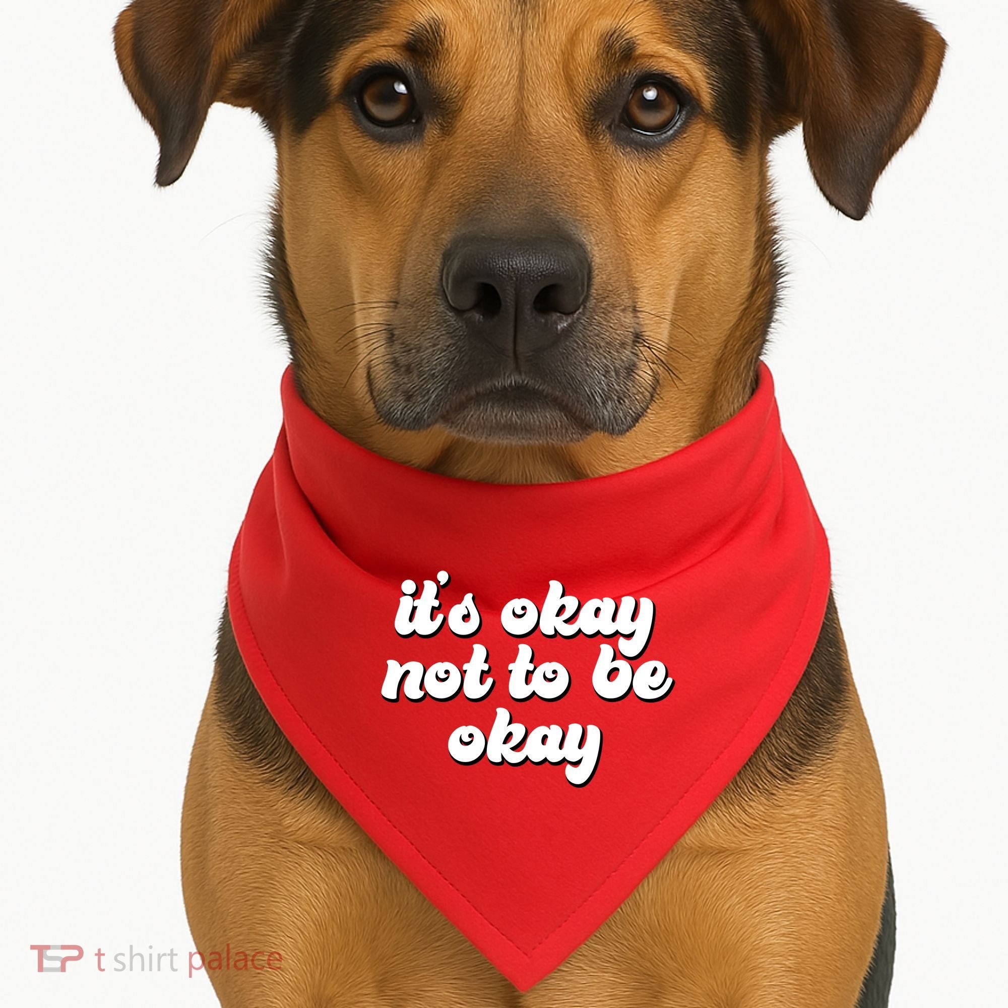 It's Okay Not To Be Okay USA-Made Doggie Bandana