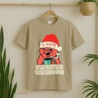 Instead Of Presents This Year Naughty Cat Xmas T-Shirt thumb 2
