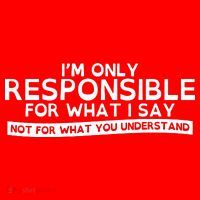 I'm Only Responsible For What I Say, Not For What You Understand Santa Hat thumb 1
