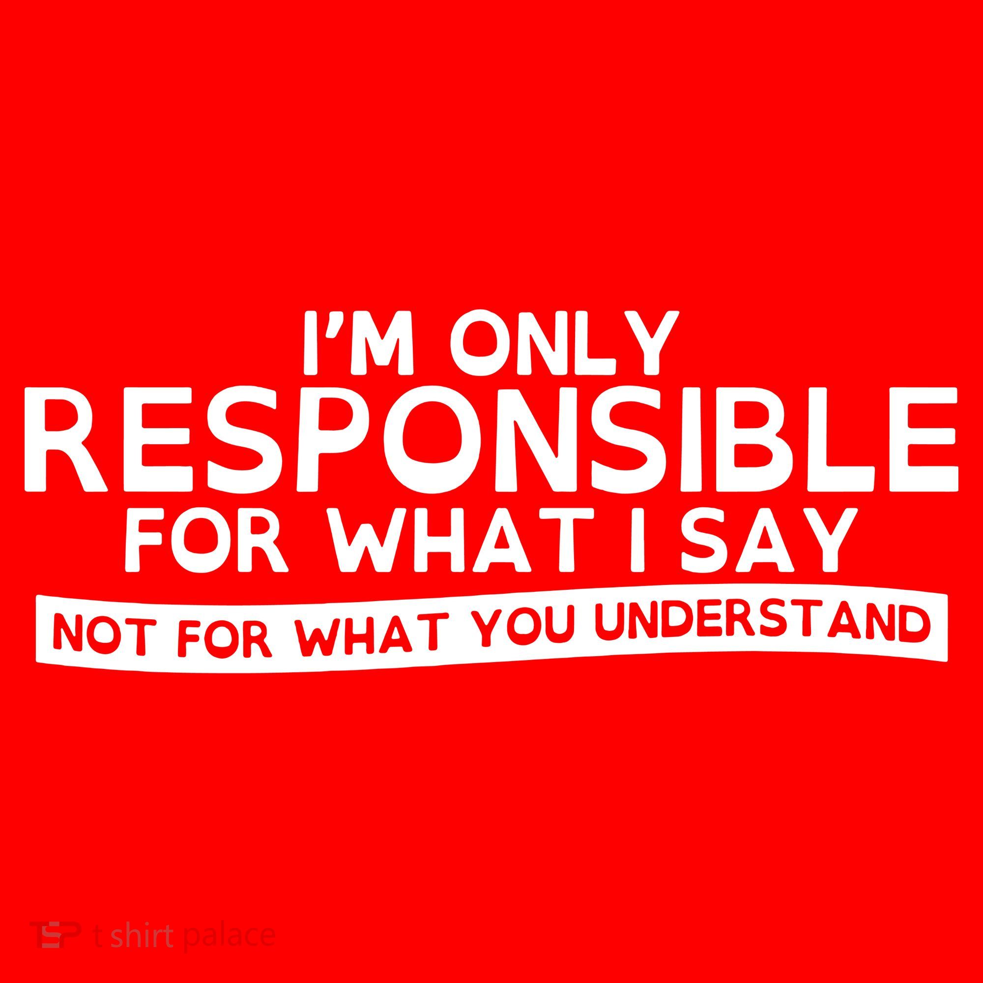 I'm Only Responsible For What I Say, Not For What You Understand Santa Hat
