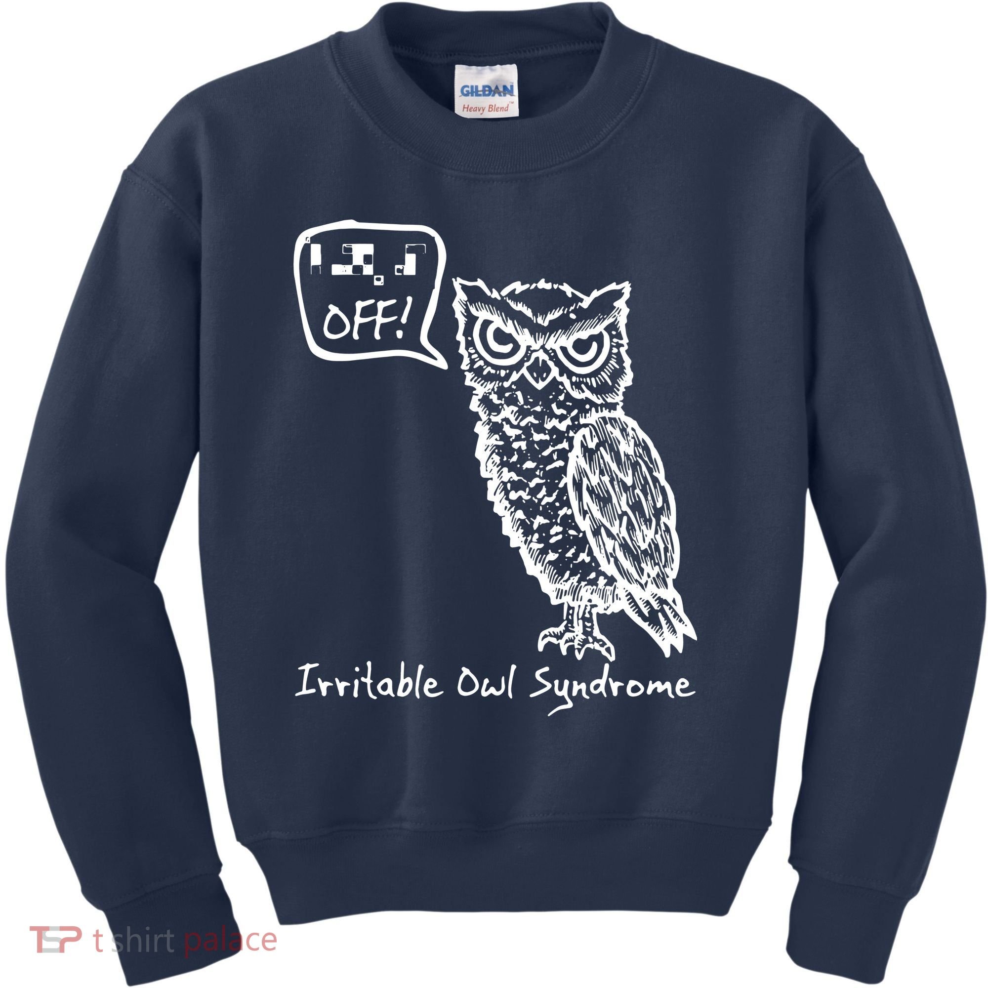 Irritable Owl Syndrome Kids Sweatshirt
