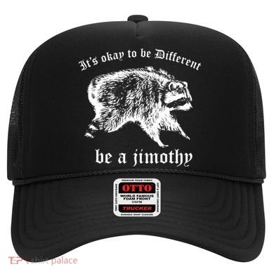 It's Ok To Be Different Be A Jimothy Hat