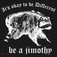 It's Ok To Be Different Be A Jimothy Toddler Hoodie thumb 2
