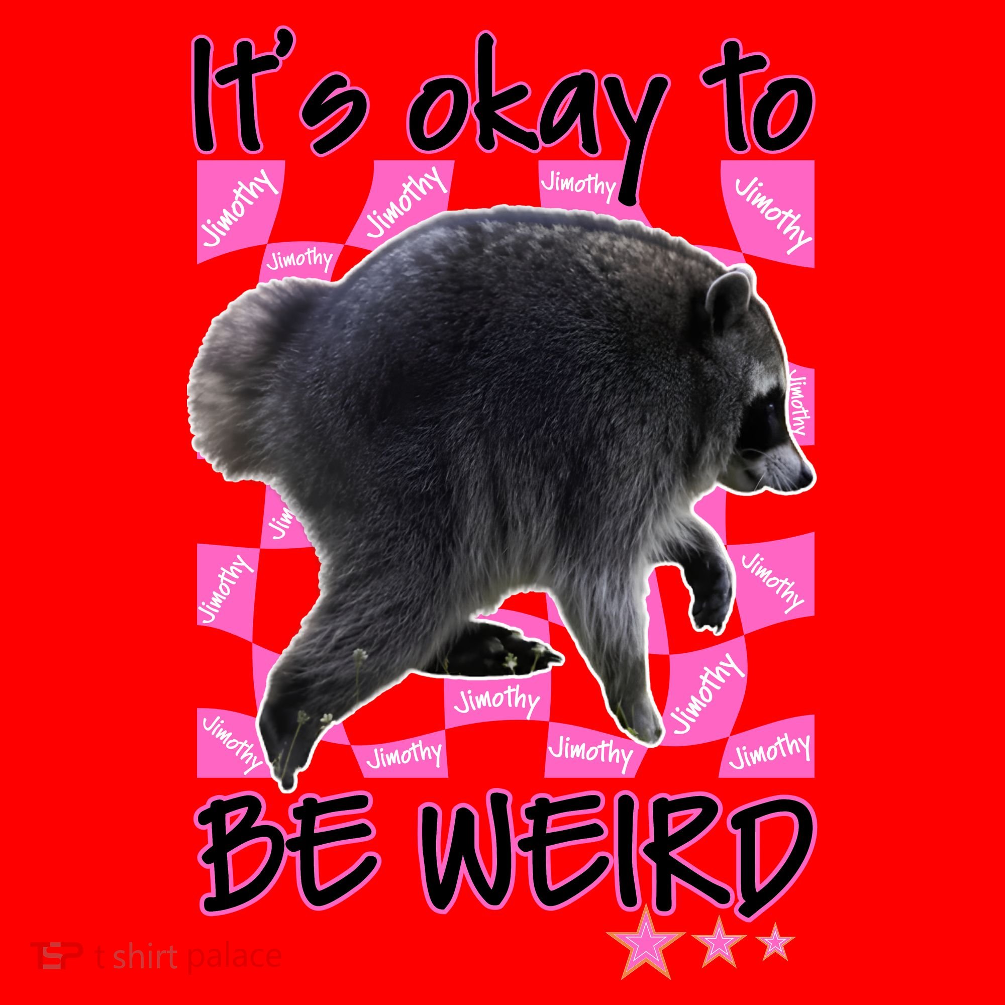It's Okay To Be Weird Jimothy The Raccoon Meme Santa Hat