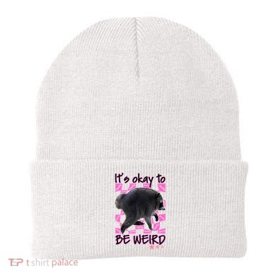 It's Okay To Be Weird Jimothy The Raccoon Meme Beanie