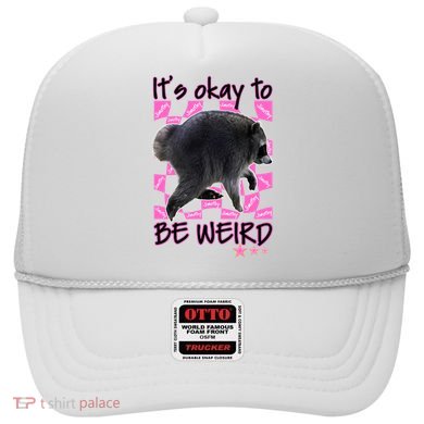 It's Okay To Be Weird Jimothy The Raccoon Meme Hat