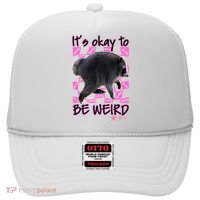 It's Okay To Be Weird Jimothy The Raccoon Meme Hat thumb 0