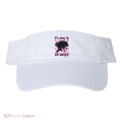 It's Okay To Be Weird Jimothy The Raccoon Meme Visor