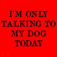 I'm Only Talking To My Dog Today Santa Hat thumb 1