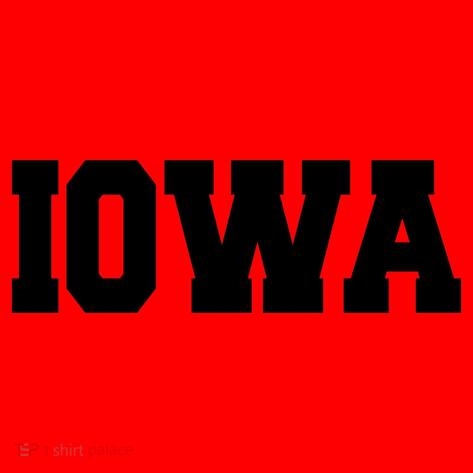 IOWA Team College University Logo Santa Hat