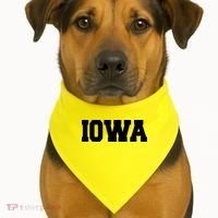 IOWA Team College University Logo USA-Made Doggie Bandana thumb 1