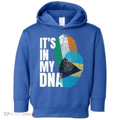 Irish Plus Bahamian Mix Dna Flag Heritage Gift Toddler Hoodie