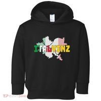 Italyinz Pittsburgh Black And Gold Italian Flag Toddler Hoodie thumb 0