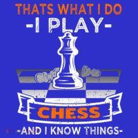 I Play Chess And I Know Things Chess Player Chess Board Meaningful Gift Sweatshirt thumb 3