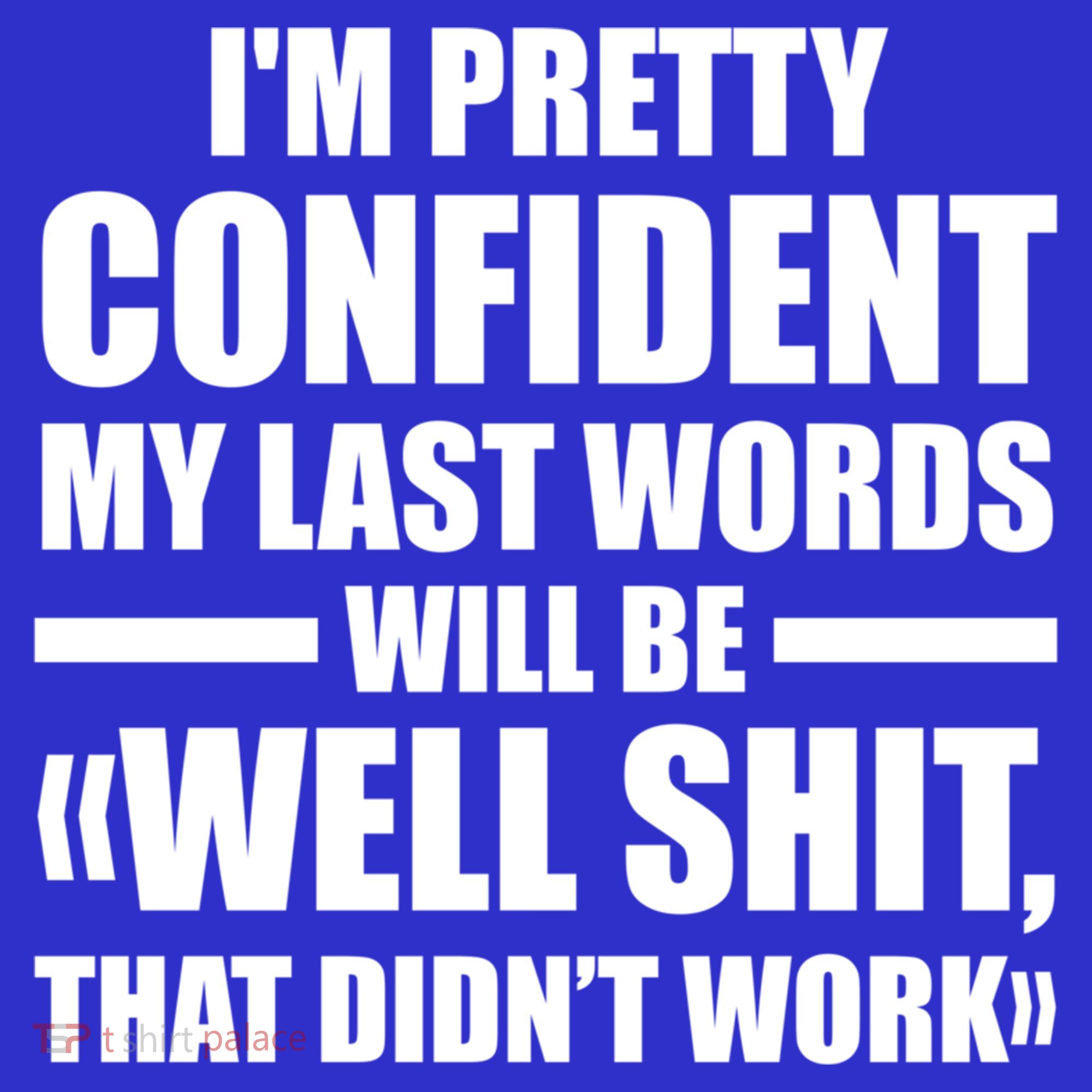 I'm Pretty Confident My Last Words Will Be Well Didn’t Work Cool Gift Toddler Hoodie