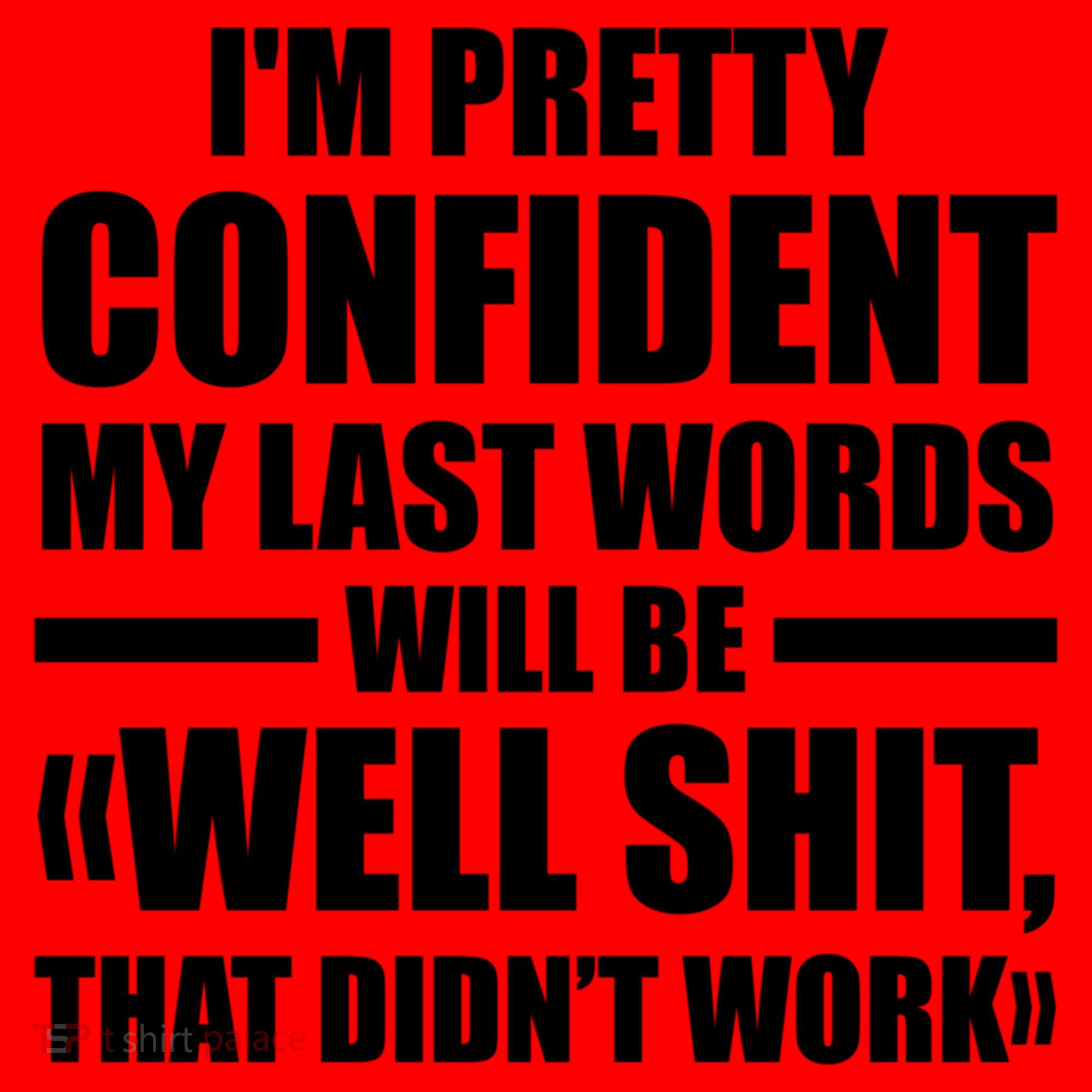 I'm Pretty Confident My Last Words Will Be Well Didn’t Work Cool Gift Santa Hat