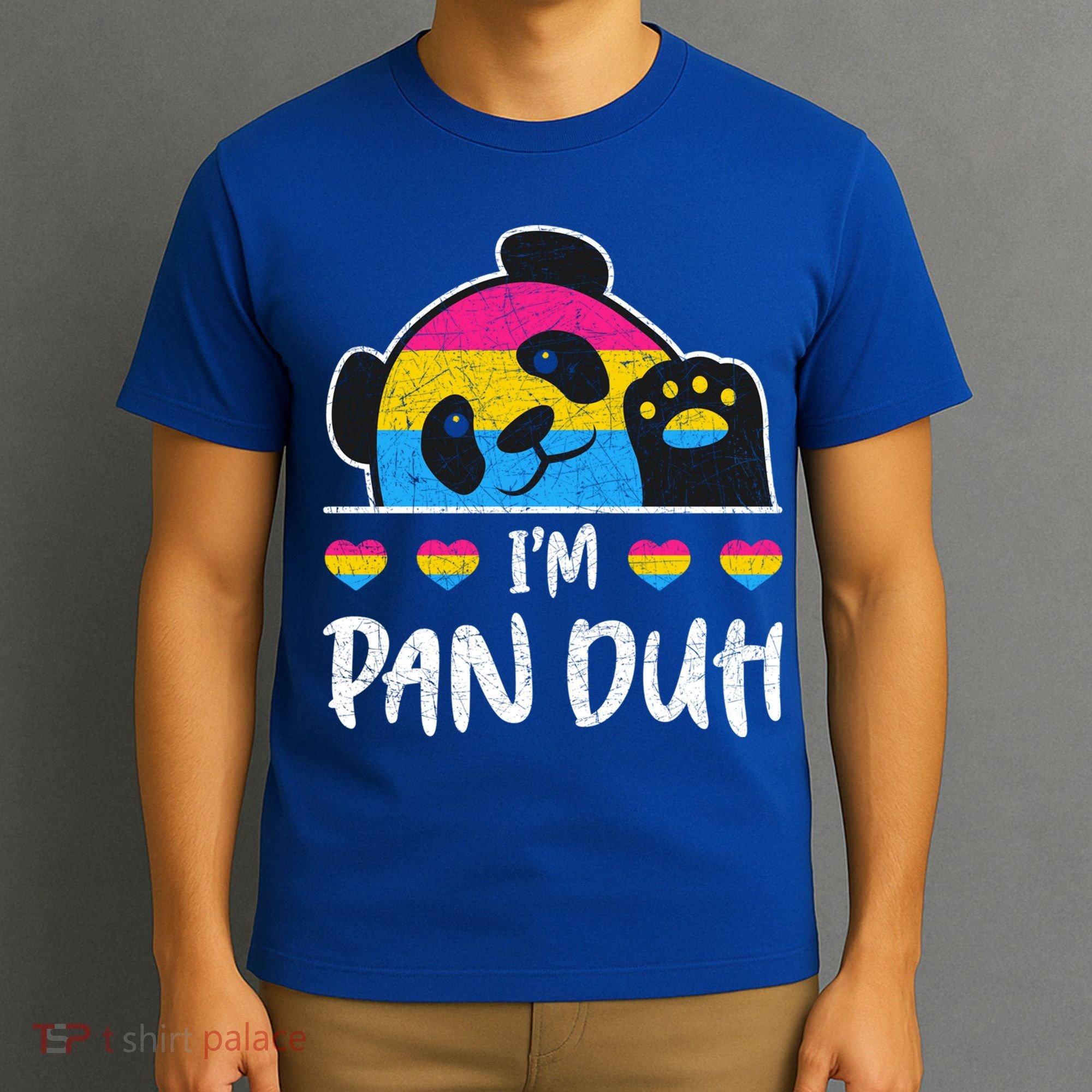 Im Pan Duh Cute Animal Panda Pansexual Flag Queer Pansexual Cute Gift T-Shirt