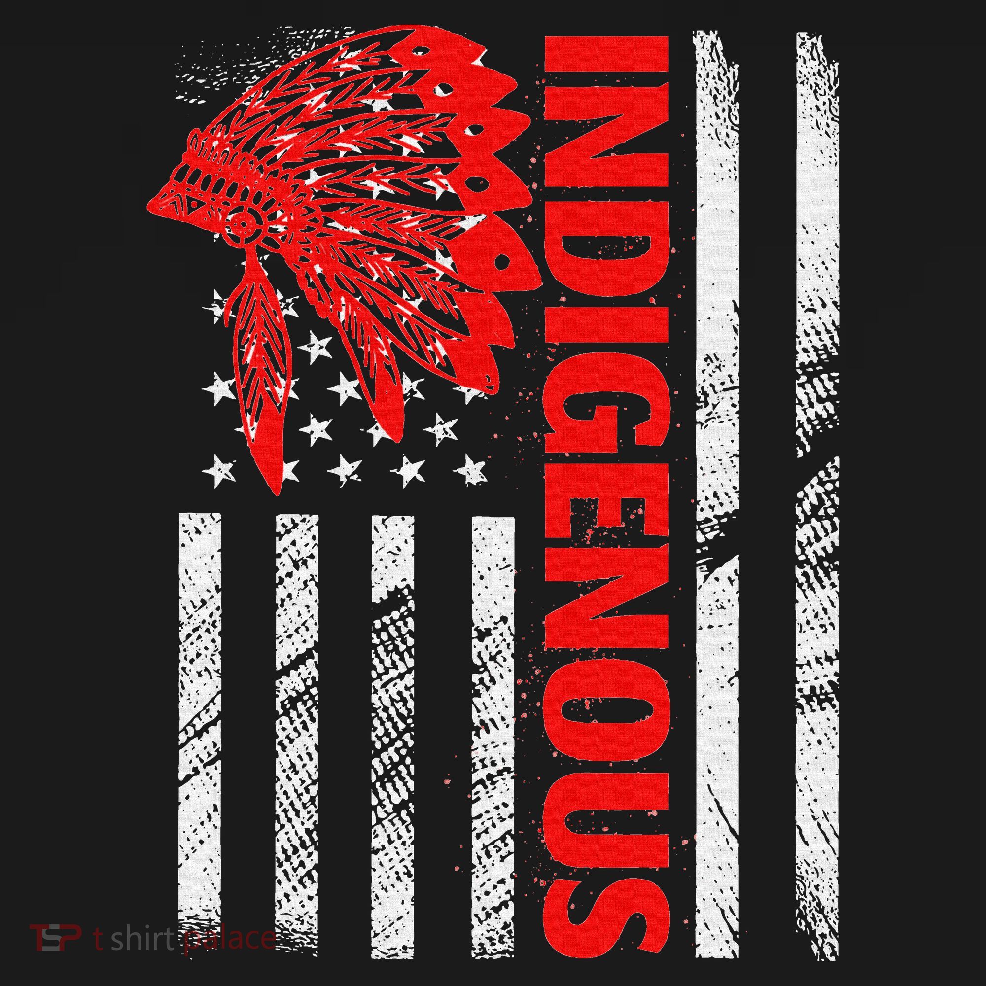 Indigenous Peoples Day Distressed Headdress Usa Flag Women's Hoodie