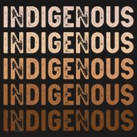Indigenous Peoples Day Native American Heritage Pride T-Shirt thumb 7
