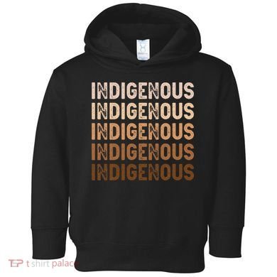 Indigenous Peoples Day Native American Heritage Pride Toddler Hoodie