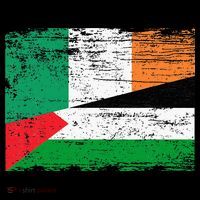 Ireland Palestine Flags Half Irish Half Palestinian Sweatshirt thumb 3