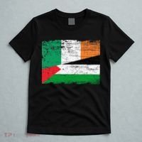 Ireland Palestine Flags Half Irish Half Palestinian T-Shirt thumb 5