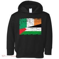 Ireland Palestine Flags Half Irish Half Palestinian Toddler Hoodie thumb 0