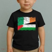 Ireland Palestine Flags Half Irish Half Palestinian Toddler T-Shirt thumb 2