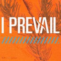 I Prevail Kati Licensed 12" Camo Cuffed Beanie thumb 2