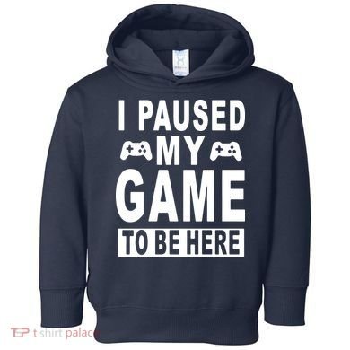 I Paused My Game To Be Here Toddler Hoodie