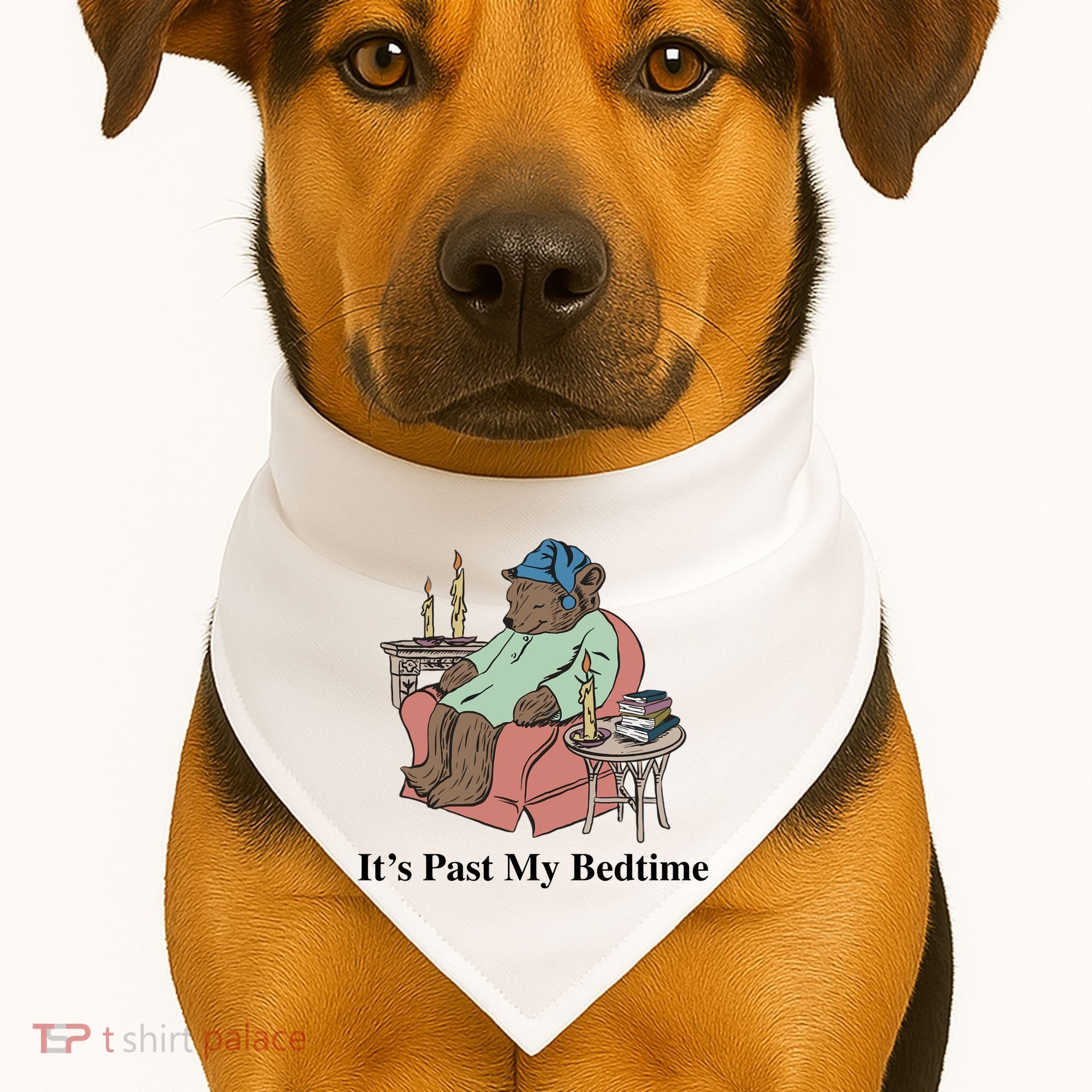 ItS Past My Bedtime USA-Made Doggie Bandana