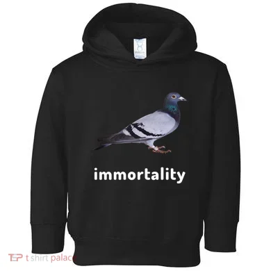 Toddler Hoodie