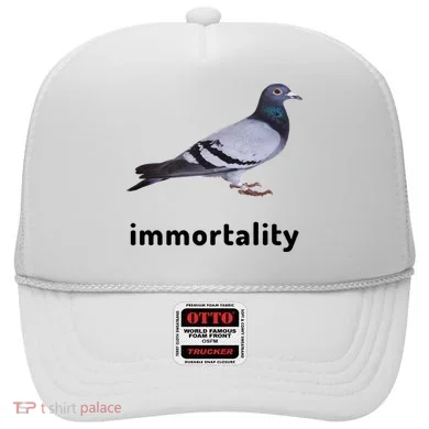Immortality Pigeon Meme Oddly Weirdcore Hat