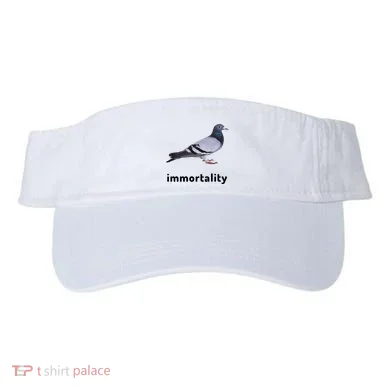 Visor