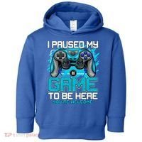 I Paused My Game To Be Here Cool Gift Funny Video Gamer Boys Gift Toddler Hoodie thumb 0