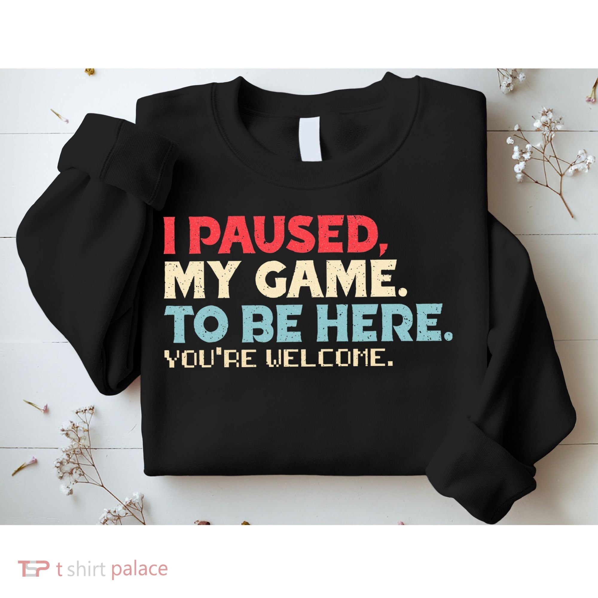 I Paused My Game To Be Here You're Welcome gift Sweatshirt