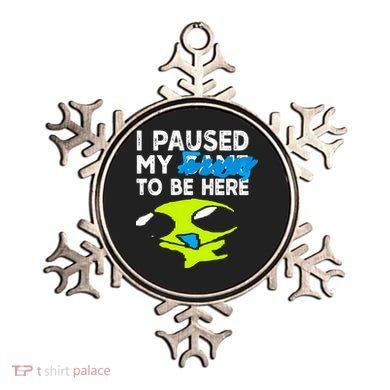 I Paused My Flug To Be Here Ornament