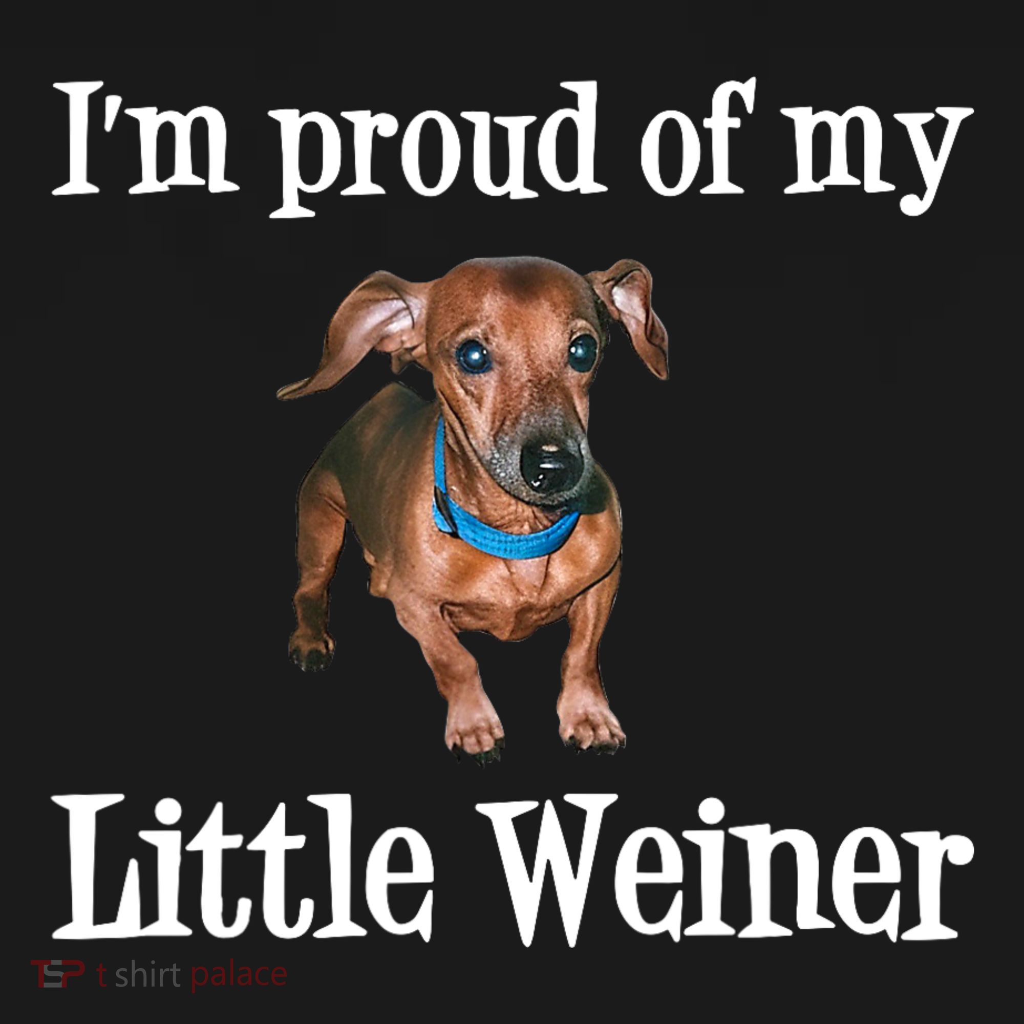 IM Proud Of My Little Weiner Funny Dachshund Dog Lover T-Shirt