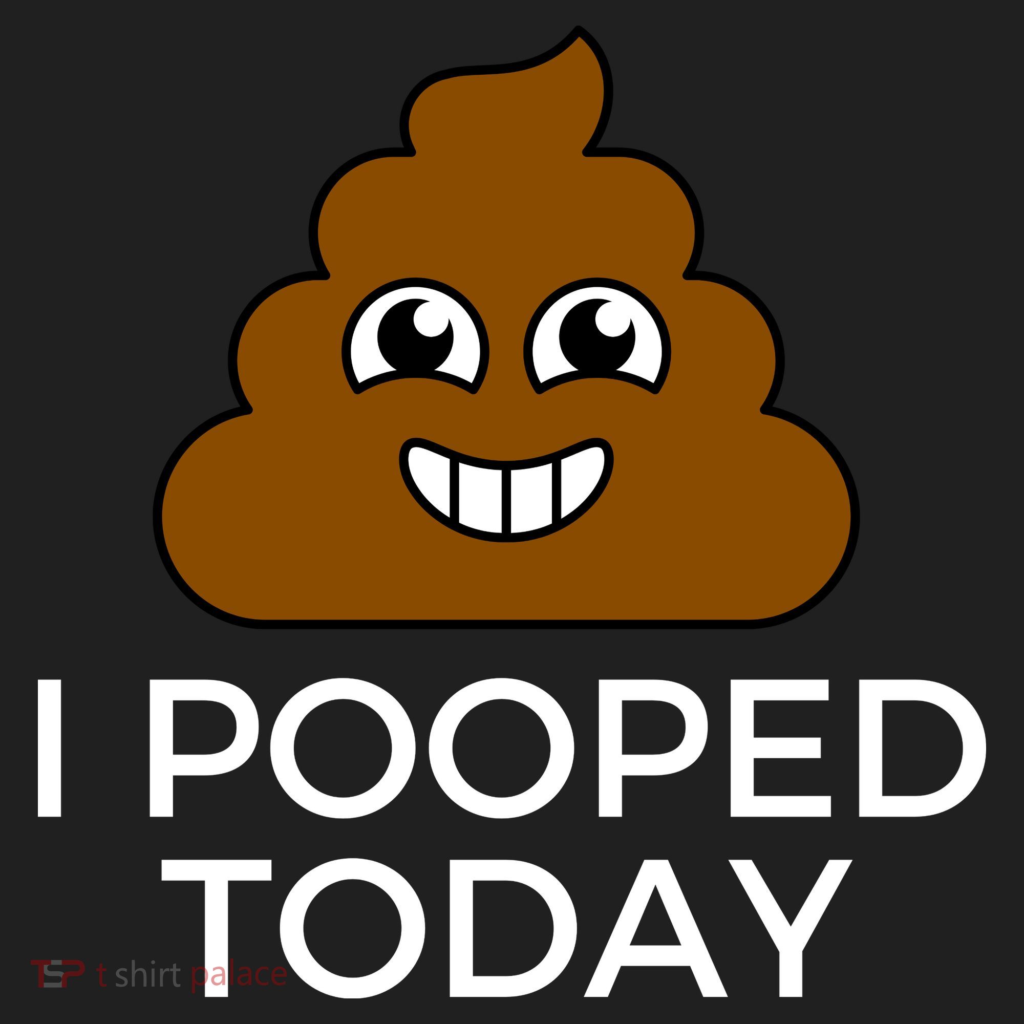 I Pooped Today Funny Joke, B Day Costume Poo Humor Beanie