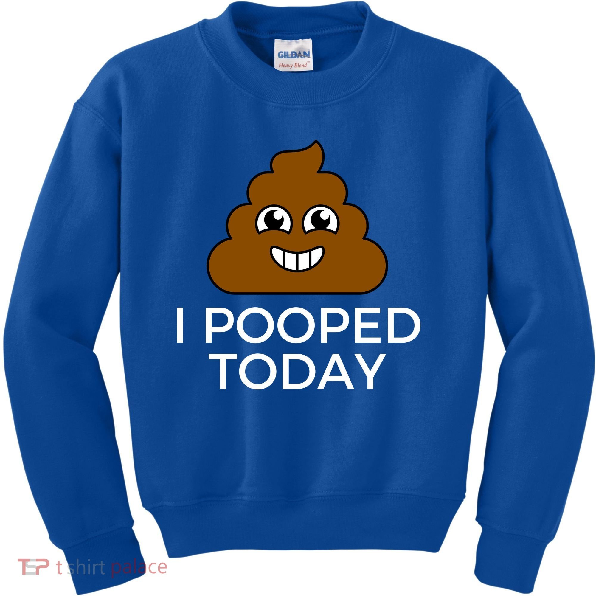 I Pooped Today Funny Joke, B Day Costume Poo Humor Kids Sweatshirt