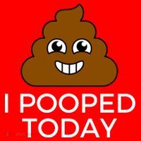 I Pooped Today Funny Joke, B Day Costume Poo Humor Santa Hat thumb 1