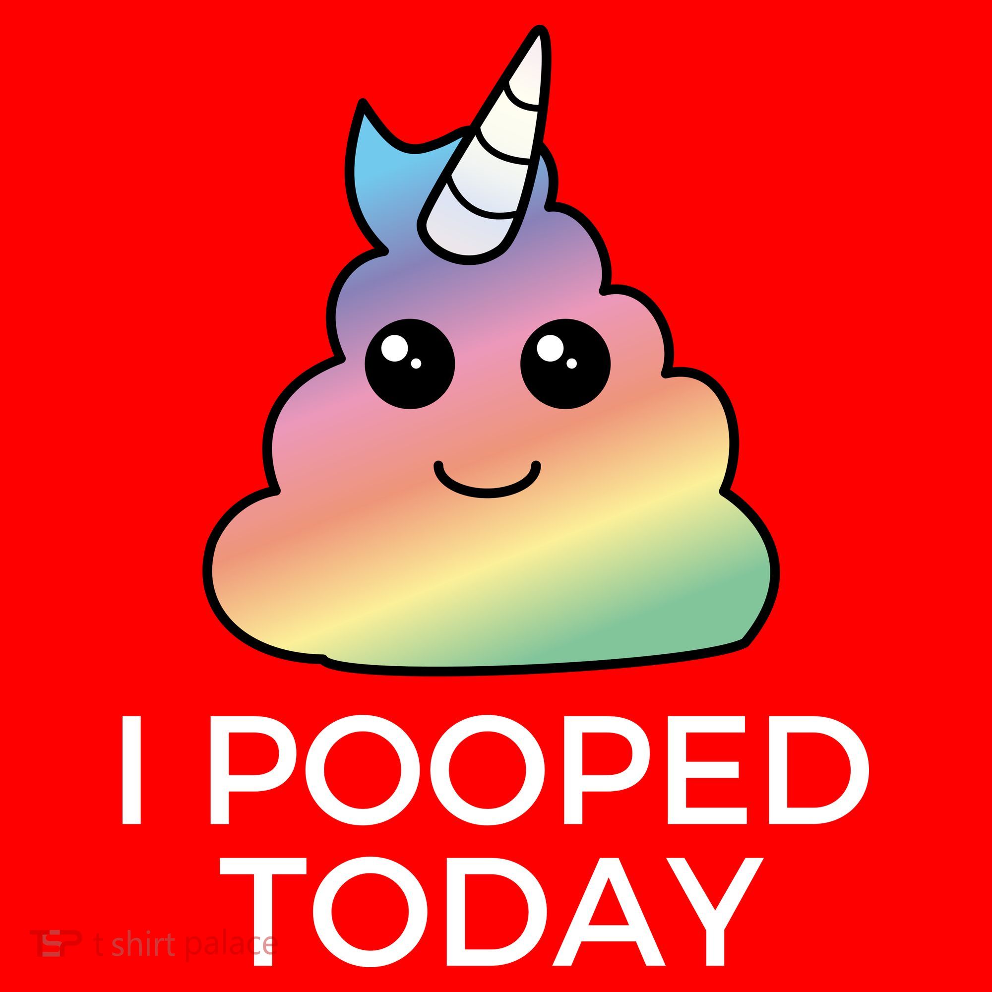 I Pooped Today Sarcastic Adult Humor Party Santa Hat