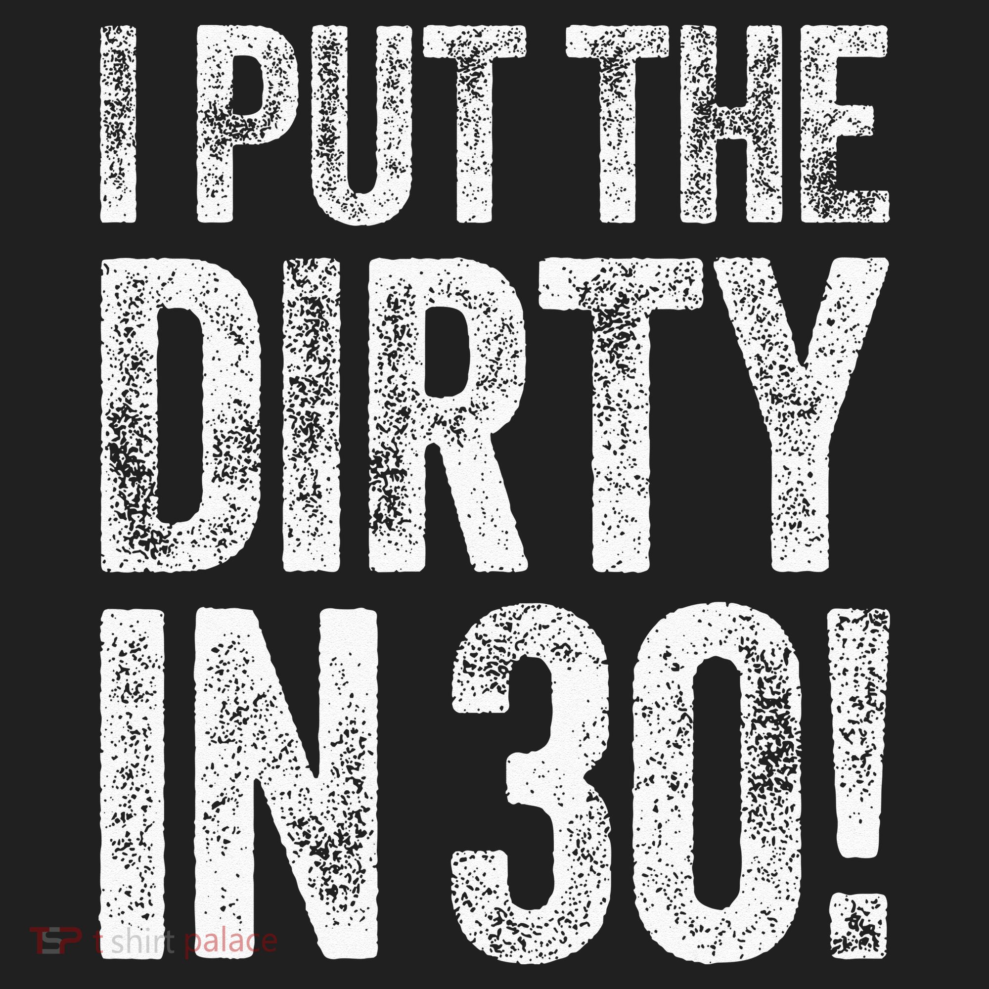 I Put The Dirty In Thirty 30th Birthday Beanie