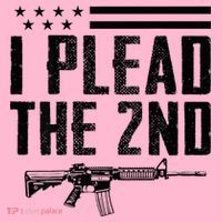 I Plead The 2nd Amendment Pro Gun Ar15 Rifle Coaster thumb 2