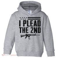 I Plead The 2nd Amendment Pro Gun Ar15 Rifle Toddler Hoodie thumb 0